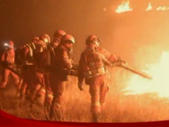 一级消防工程师-度感动中国十大人物：四川森林消防员-英雄归厚土森林消防队