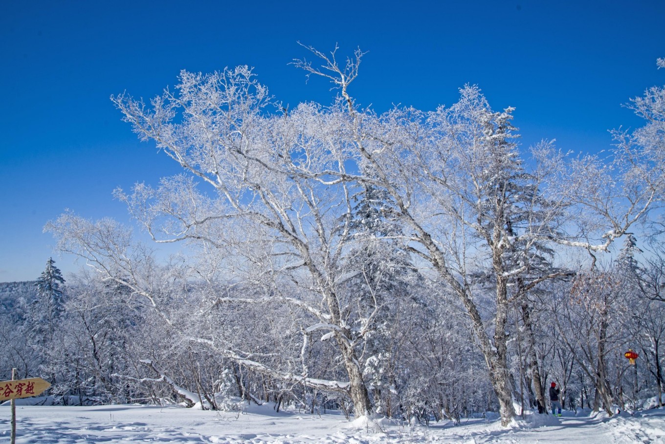 雪乡雪谷穿越