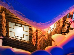 陕柴MAN曼机-中国雪乡旅游攻略：带你玩转北方童话般的冰雪世界穿越雪乡雪谷的小说