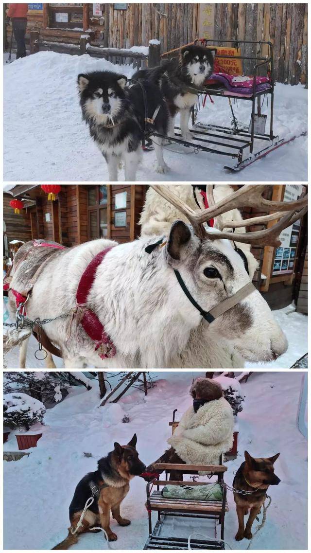 雪乡雪谷穿越