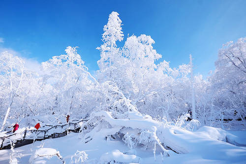 雪乡雪谷穿越